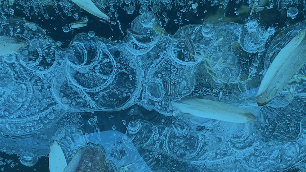 CuttingEdge Psychiatric Treatments Under One Roof Sheppard Pratt