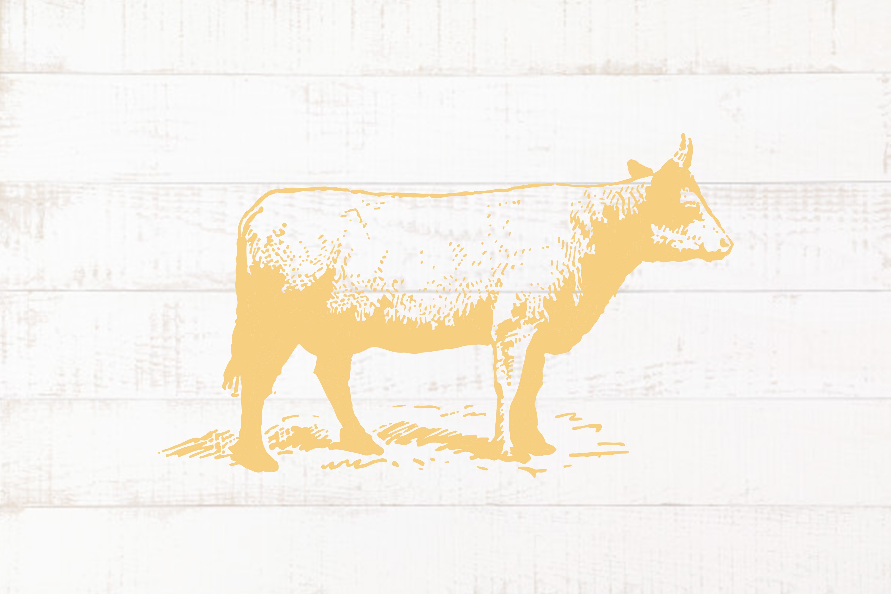 12th Annual Bull & Oyster Roast Sheppard Pratt School in Hunt Valley